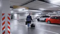 Professional services